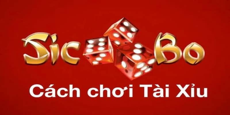 Cách chơi Tài Xỉu Iwin đơn giản, dễ hiểu