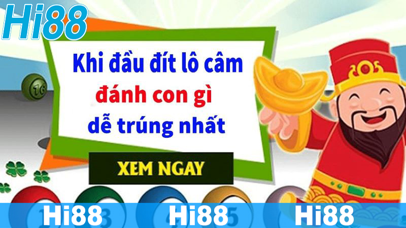 Chiến thuật soi kèo đầu đít câm đánh lô gì ra đâu thắng đó