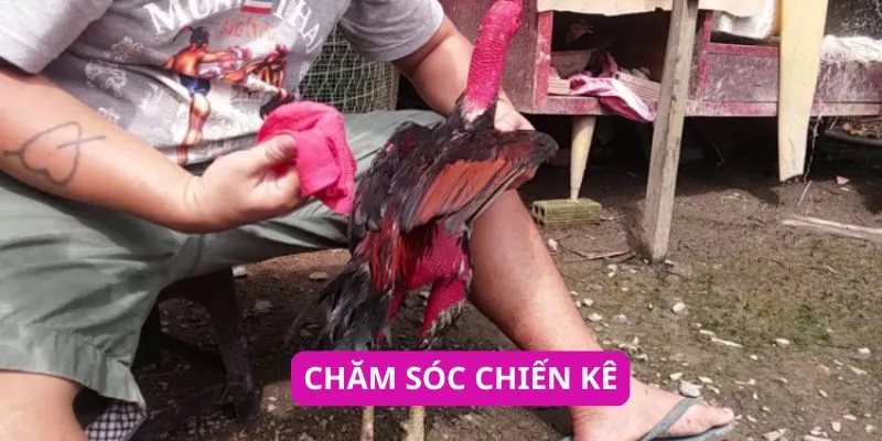 cham-soc-chien-ke