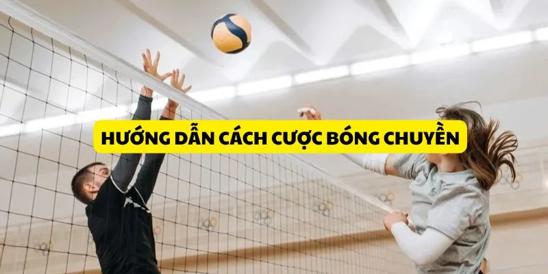 huong-dan-cach-cuoc-bong-chuyen